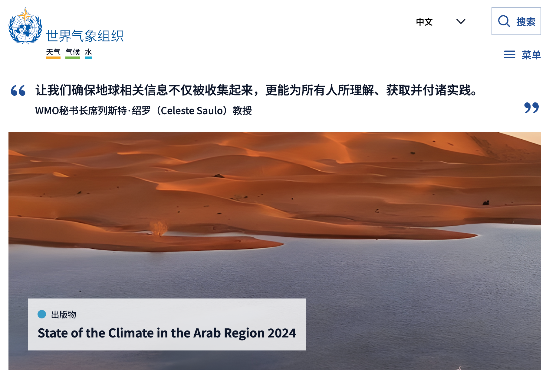 WMO 机构与项目示意图